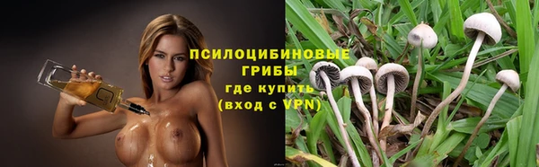 а пвп мука Верея