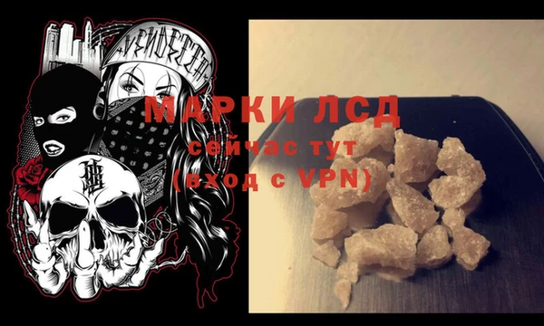 прущие крисы Бородино